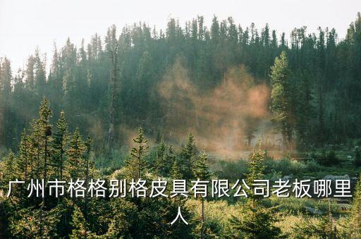 廣州市林武陽，廣州市豐影影視廣告公司那個(gè)兇惡女人是誰