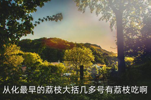 廣州從化荔枝超甜，從化最早的荔枝大括幾多號有荔枝吃啊
