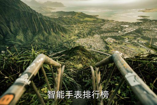 智能手表排行榜，哪種智能手表最多功能品牌排行榜怎么樣的