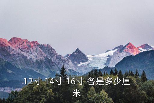 12寸 14寸 16寸 各是多少厘米