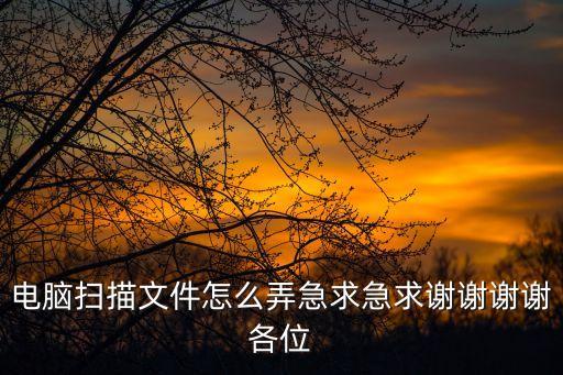 掃文檔，電腦掃描文件怎么弄急求急求謝謝謝謝各位