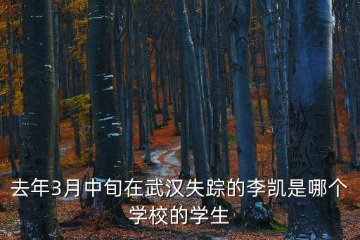 去年3月中旬在武漢失蹤的李凱是哪個學校的學生