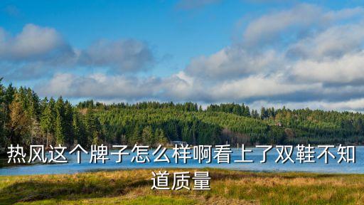 熱風這個牌子怎么樣啊看上了雙鞋不知道質量
