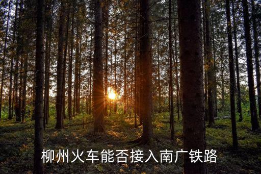 柳州至廣州高鐵最新走向，柳州火車能否接入南廣鐵路