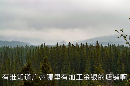 有誰知道廣州哪里有加工金銀的店鋪啊