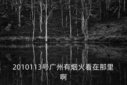 2010113號(hào)廣州有煙火看在那里啊