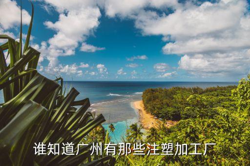 廣州塑料配件加工，請問廣州做塑料制品比較好的是什么公司