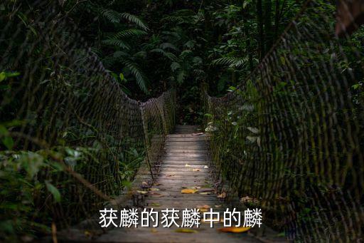 西狩獲麟，獲麟出自那本書