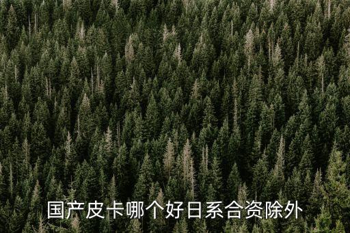 國產皮卡，國產皮卡哪個好日系合資除外