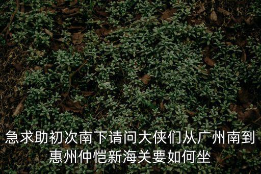 廣州南站到仲愷有什么車能到，請問怎么從廣州南站到仲愷的白云校區(qū)吖求助求助