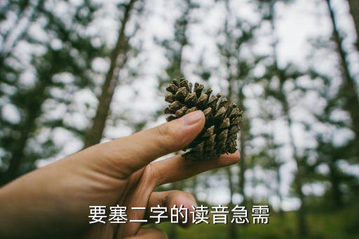 要塞讀音，要塞二字的讀音急需