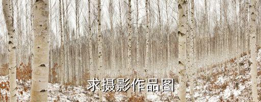 攝影佳作，世界著名攝影作品 求名字和背景 一個類似油漆匠的在粉刷大橋的人