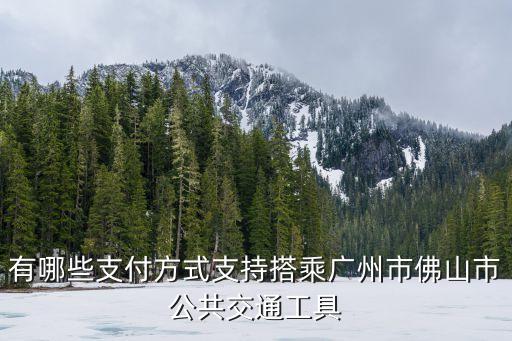 廣州市海珠區(qū)公交車支付寶，廣州市公交是否支持nfc手機支付