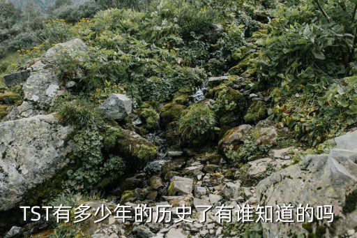TST有多少年的歷史了有誰(shuí)知道的嗎