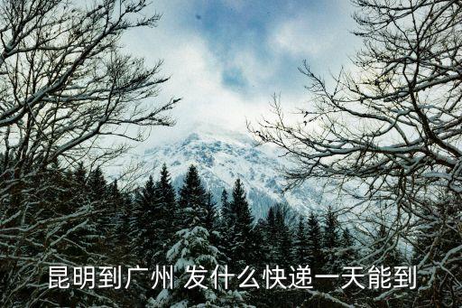 哪個快遞能發(fā)貨到廣州，有什么快遞可以送東西去廣州市蘿崗區(qū)除EMS外