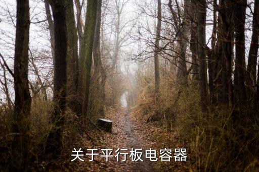 平行板電容器，關(guān)于平行板電容器的知識