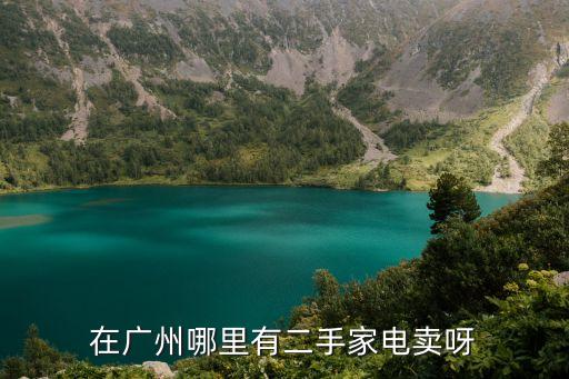 在廣州哪里有二手家電賣呀