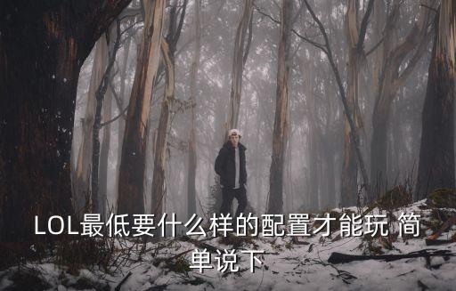 LOL最低要什么樣的配置才能玩 簡單說下