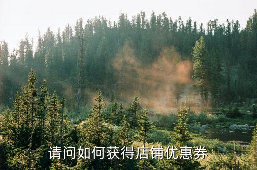 店鋪優惠券，天貓里的店鋪優惠券是什么意思怎么用