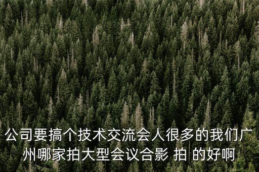 公司要搞個技術交流會人很多的我們廣州哪家拍大型會議合影 拍 的好啊