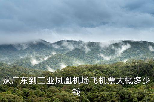 從廣東到三亞鳳凰機(jī)場飛機(jī)票大概多少錢