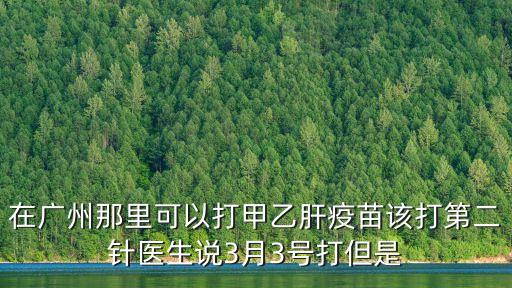 在廣州那里可以打甲乙肝疫苗該打第二針醫生說3月3號打但是