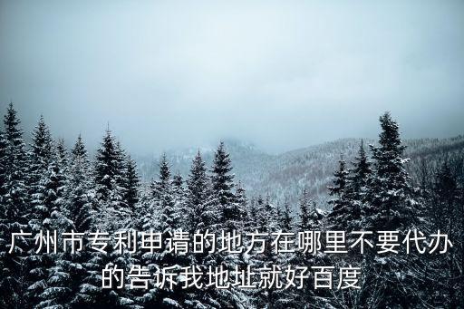 廣州市專利申請(qǐng)的地方在哪里不要代辦的告訴我地址就好百度