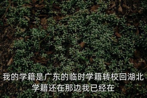 我的學籍是廣東的臨時學籍轉(zhuǎn)校回湖北學籍還在那邊我已經(jīng)在