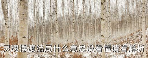 靈魂擺渡結局什么意思沒看懂請看解析