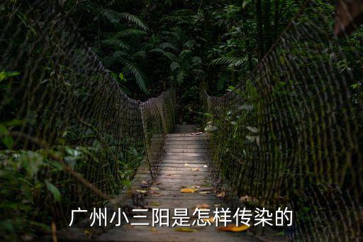 廣州石圍塘有感染的嗎，什么是石圍塘