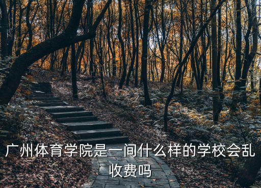 廣州體育學院是私立嗎，廣州體育學院屬于民辦嗎