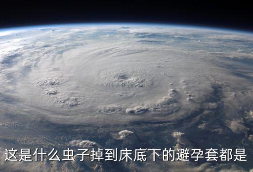 地虱，地虱子是長在什么環境里的