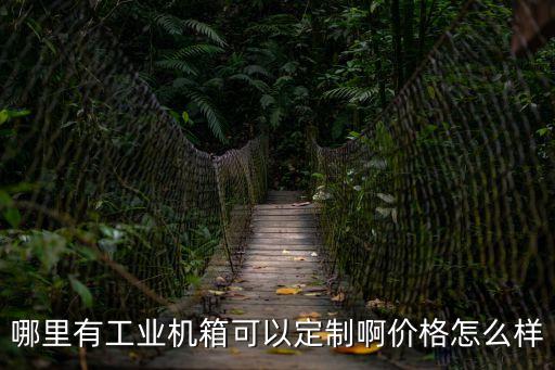 哪里有工業(yè)機(jī)箱可以定制啊價(jià)格怎么樣