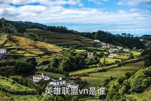 英雄聯盟vn是誰
