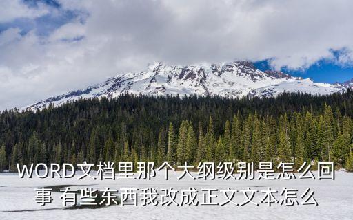 word大綱，關于word大綱的操作