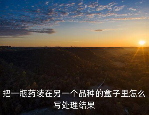 處理結果怎么寫，處罰單怎么寫