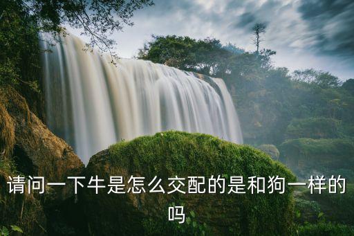 請問一下牛是怎么交配的是和狗一樣的嗎