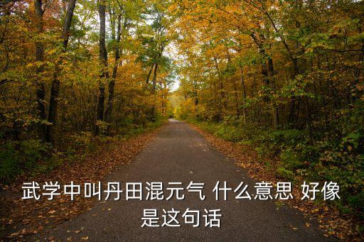 混元氣，武學中叫丹田混元氣 什么意思 好像是這句話