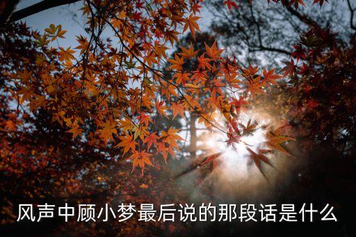 風(fēng)聲中顧小夢(mèng)最后說的那段話是什么