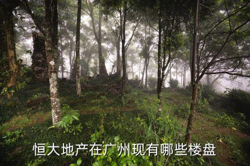 恒大地產在廣州現有哪些樓盤