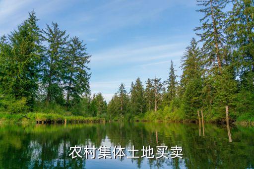 廣州村集體土地出售，農(nóng)村集體土地買賣