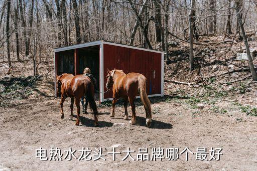 電熱水龍頭10大品牌，電熱水龍頭十大品牌哪個(gè)最好