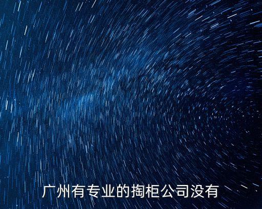廣州有專業的掏柜公司沒有