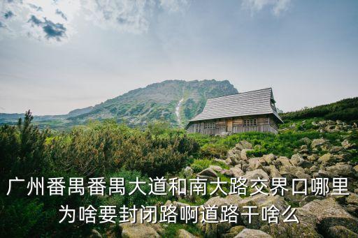 廣州番禺番禺大道和南大路交界口哪里為啥要封閉路啊道路干啥么