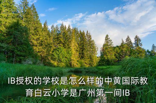 IB授權(quán)的學校是怎么樣的中黃國際教育白云小學是廣州第一間IB