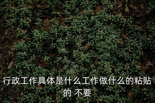 行政工作具體是什么工作做什么的粘貼的 不要