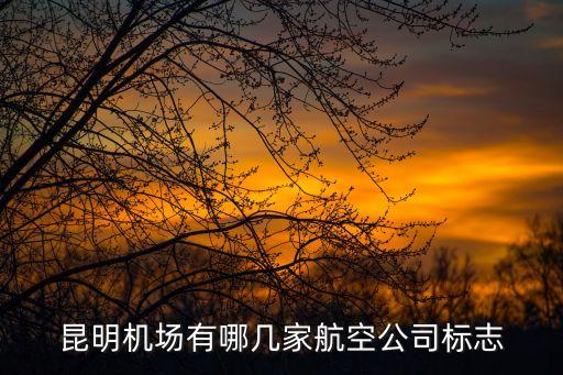 航空公司，昆明飛馬累是哪個航空公司