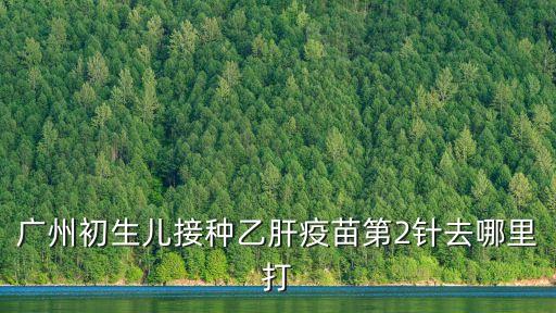 廣州第二針去哪里預約，在廣州那里可以打甲乙肝疫苗該打第二針醫(yī)生說3月3號打但是