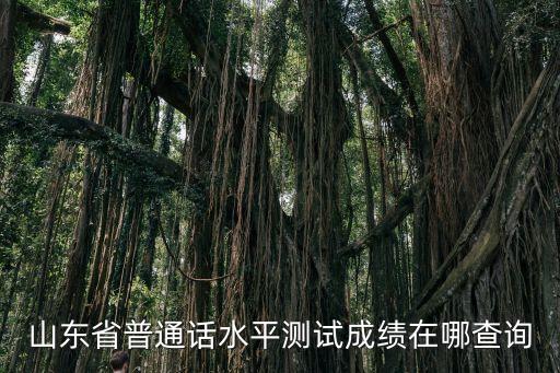 普通話考試查詢，普通話等級(jí)考試成績?cè)趺床樵儼?/></a></span><span id=