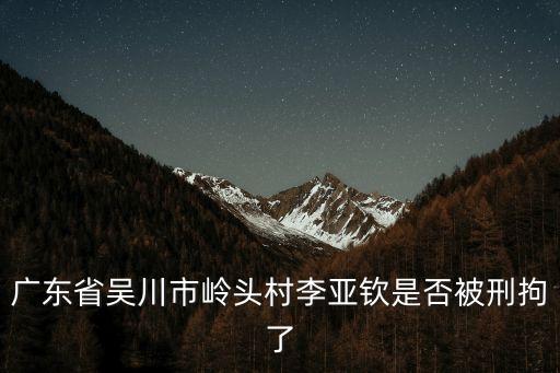 廣東省吳川市嶺頭村李亞欽是否被刑拘了